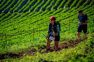 BIB: 142
                            <button type="button" onclick="openModal(19160634)" class="btn btn-primary btn-sm float-right btn-popup" data-toggle="modal" data-target=".modal-high-quality">
                        <i class="fas fa-shopping-cart"></i> Add to Cart
                    </button>
                                            <button type="button" onclick="isThisMe(19160634, true)" class="btn btn-success btn-sm float-right btn-popup btn-isme hidden" data-toggle="tooltip" data-placement="bottom" title="นี่คือรูปของคุณใช่ไหม คลิกที่นี่เพื่อเอาเข้าอัลบั้ม">
                        <i class="fas fa-plus"></i> Add to album
                    </button>
                    <button type="button" onclick="isThisMe(19160634, false)" class="btn btn-warning btn-sm float-right btn-popup btn-isnotme hidden">
                        <i class="fas fa-ban"></i> Remove from album
                    </button>